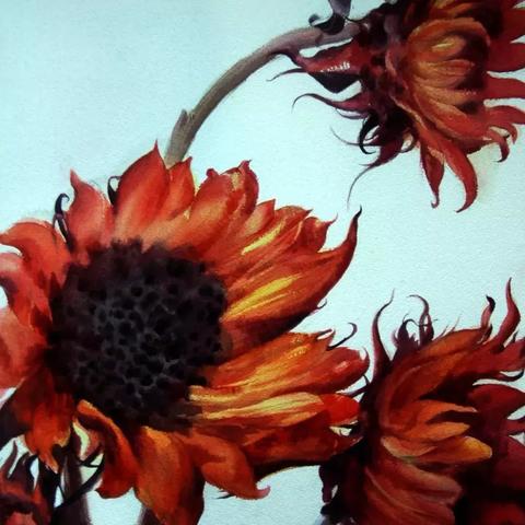 水彩展长沙相关长尾关键词有哪些