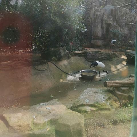 南宁市动物园属于哪个区