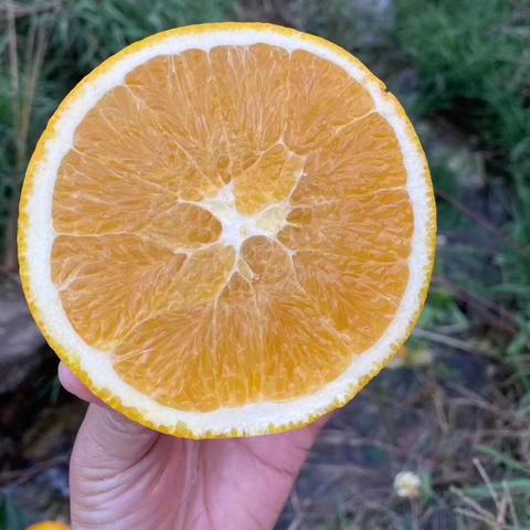 赣州市哪里有氢钙