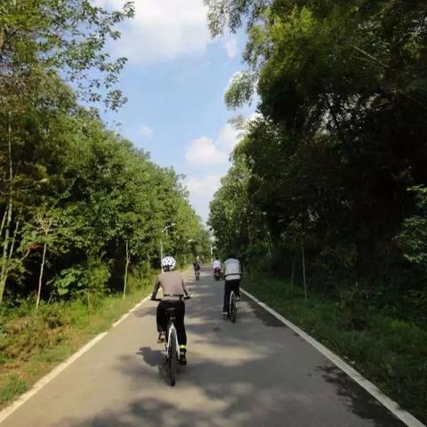 长沙市有什么山好玩