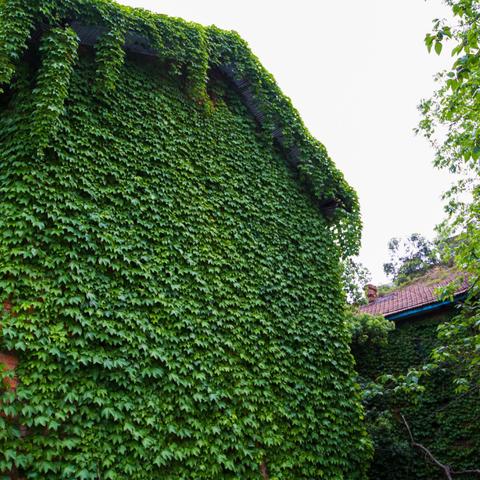 合肥二环路高架相关长尾关键词有哪些