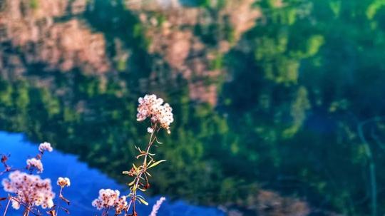 这一波亲测靠谱！成都两天打来回！“小九寨”冷门、人少、景美