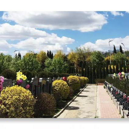 沈阳墓园网站的长尾关键词有什么