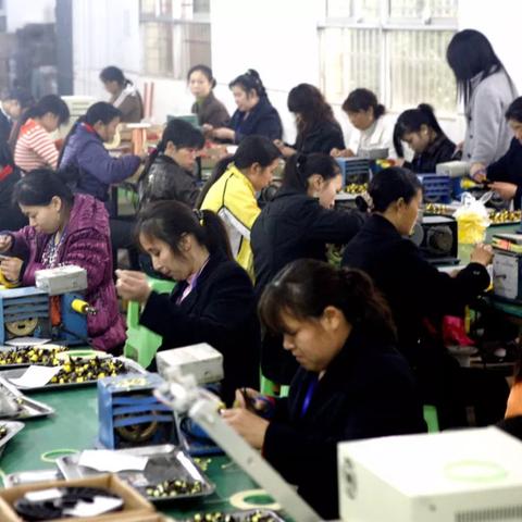 邯郸市女子学藤编的长尾关键词有哪些