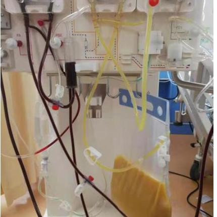 长沙市中山大学在哪个区