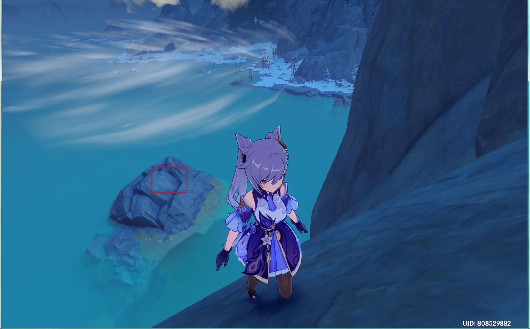 藏金之花原神怎么打（原神mola该怎么快速获得）