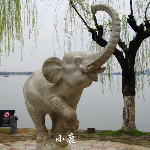 杭州市西湖露营地在什么地方