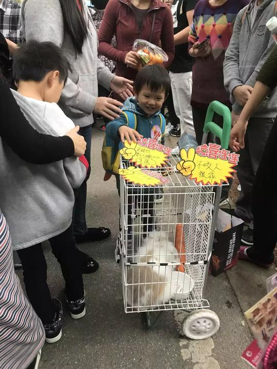 天河｜两幼儿园携手义卖，6.6万善款捐助重症患者