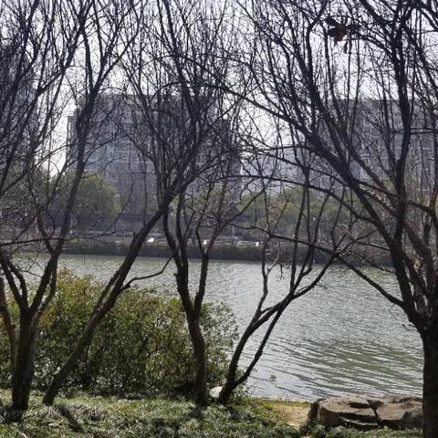 苏州市护城河在什么区