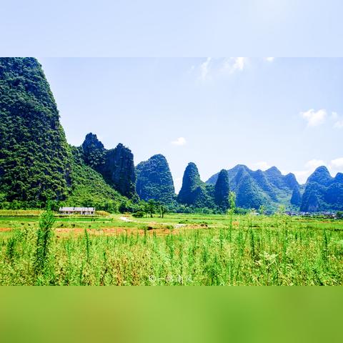 桂林长寿菜相关长尾关键词有哪些