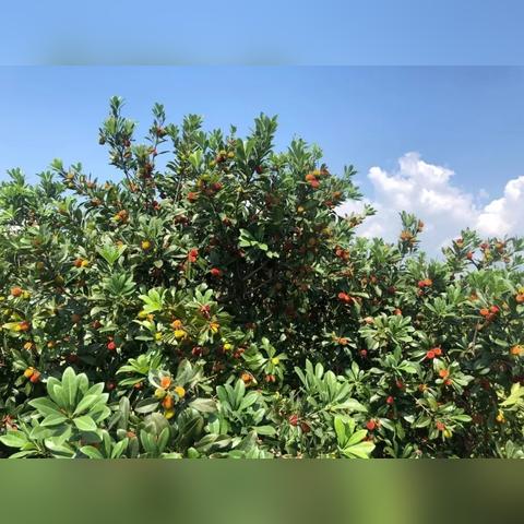 赣州市有美食街吗在哪里