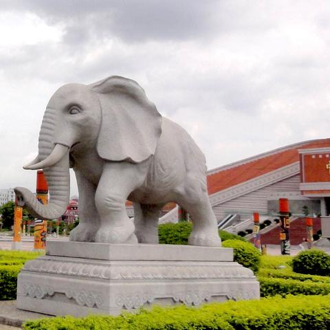 福建哪个厂最好