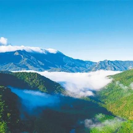 海南冬天吹什么季风