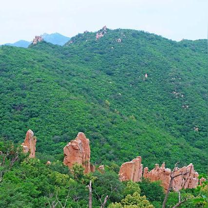 沈阳到朝阳镇客车相关长尾关键词有哪些