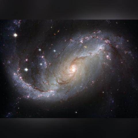 星座生肖每日运势(星座每曰运程)