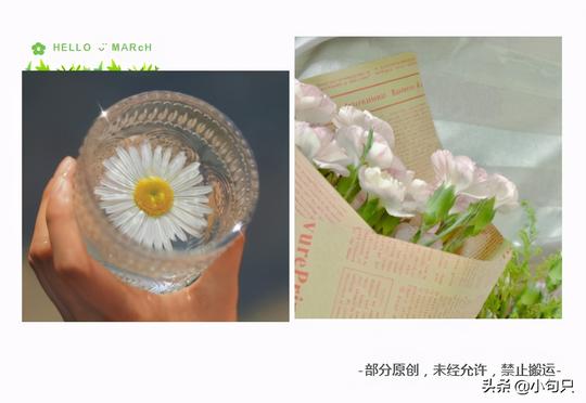 三月你好，适合三月发朋友圈的文案和九宫格（原创）