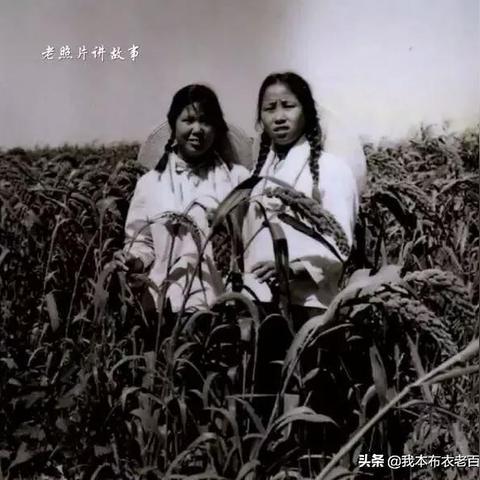 天津知青在北大荒干什么