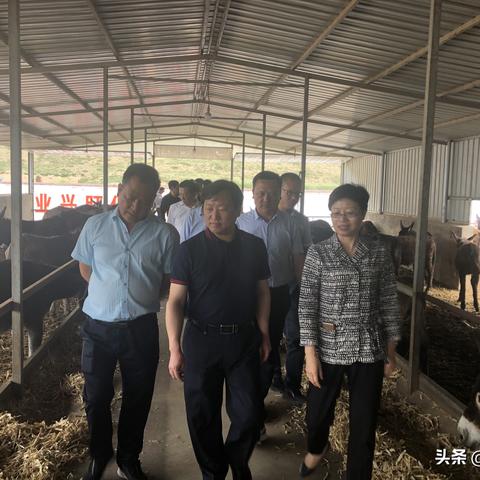 兰州有着子山吗的相关长尾关键词有哪些