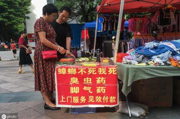 临沂市买蟑螂的地方在哪里