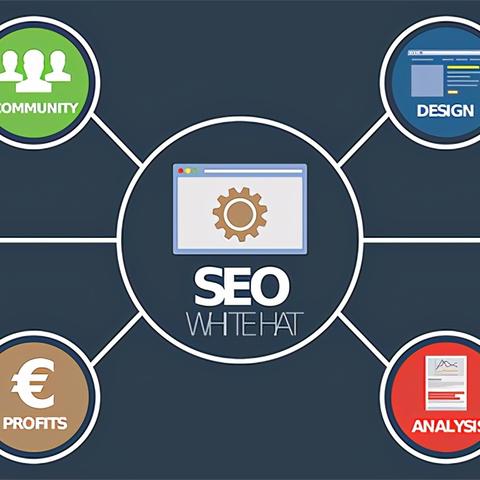 seo 课程