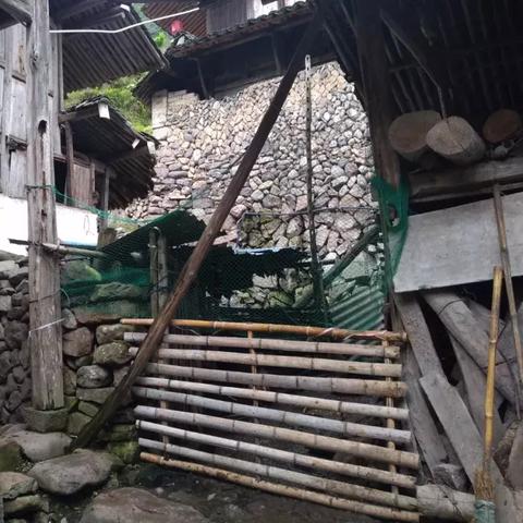 广州市坑口村的路什么时候修好