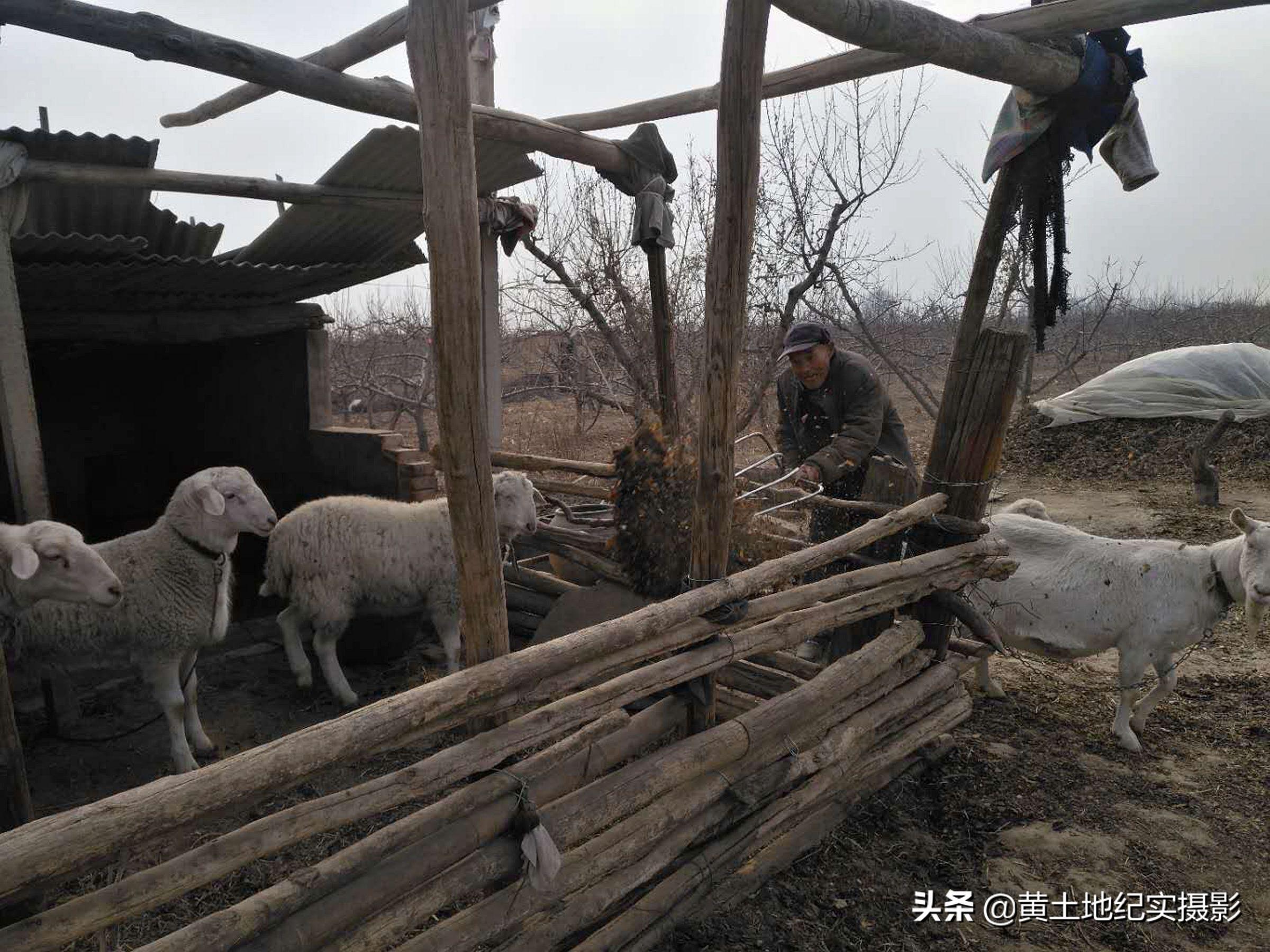 【31省份新增57例
 ,31省份新增78例】