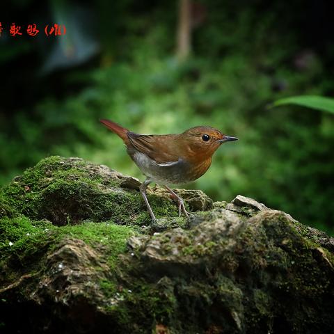 南宁到福建班车时刻表的相关长尾关键词有哪些