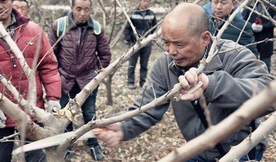 农村里这三类人挣钱很简单，虽然不是村里的土豪，但平时不会缺钱