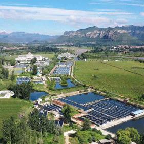 邯郸市渔业的长尾关键词有哪些