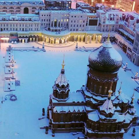 哈尔滨大妈养鸽子视频相关长尾关键词有哪些