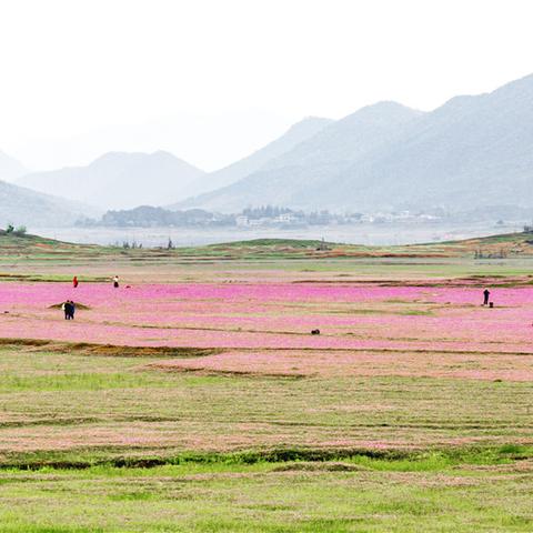 桂林市的大桥叫什么桥名