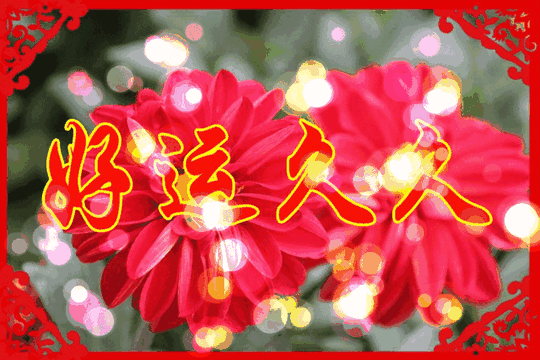 9月9日，久久的祝福送给思念久久的你，愿幸福久久，好运久久！