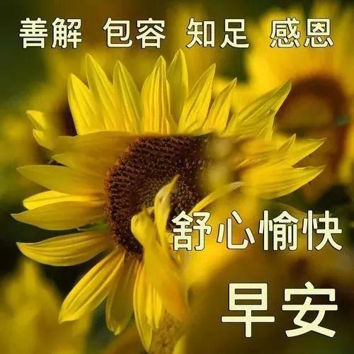 愿微风不燥，时光不老，你我都好，人生岁月更加诗意，早上好