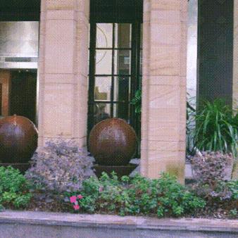 桂林象鼻山的明星？