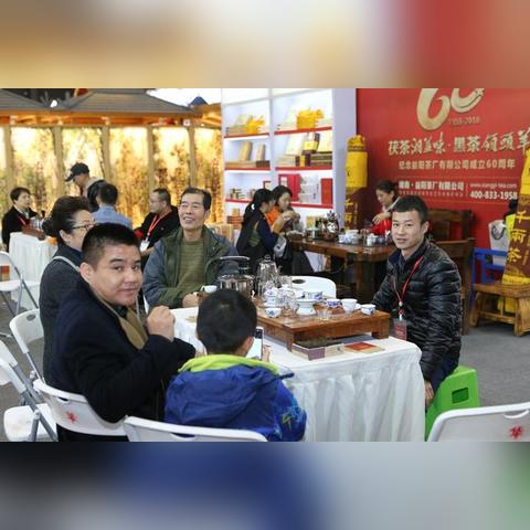 福建闽茶哪个好