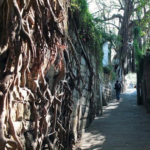 厦门市私房别墅价格多少