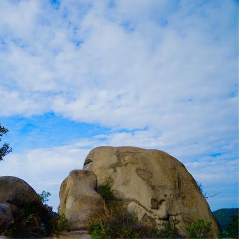温州市可以异地领证吗的长尾关键词有什么