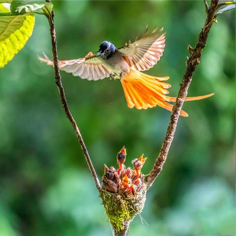 电影《举起手来》的长尾关键词是什么