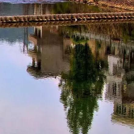 温州市哪里有学钢琴的