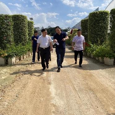 厦门市都有什么镇