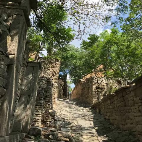 整个济南市多少人口啊现在