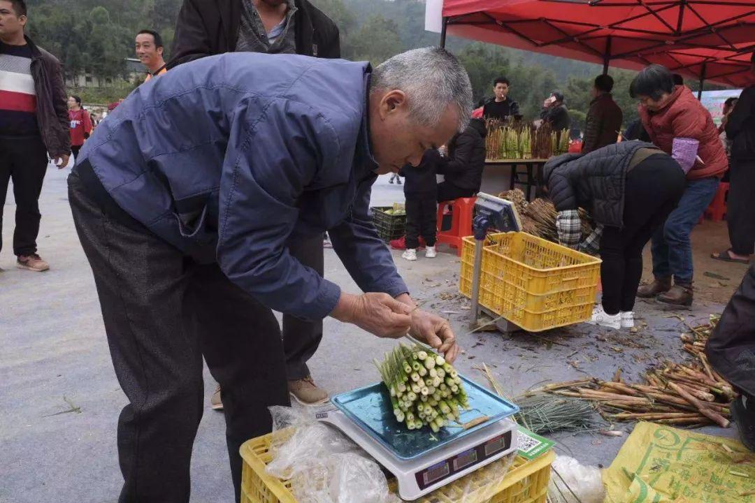 肇庆美食有什么（到了梧州一定要吃的当地美食有哪些）