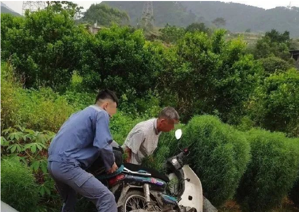 孩子摔倒后扶不扶怎么办
