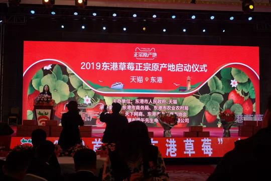 东北富二代创业卖草莓遭到全家人反对，亏百万还是要干，到底为了啥？