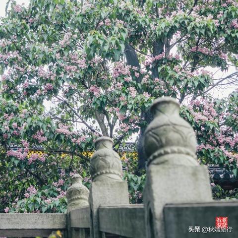 常熟虞山镇离苏州最近的区是哪里