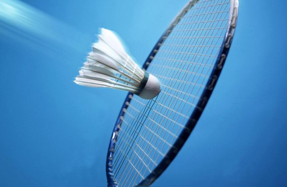 羽毛球大多是什么羽毛制成的羽毛球比赛是用什么颜色的