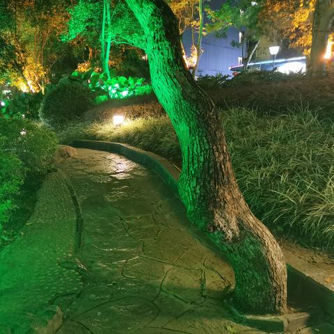 桂林市哪个山上看夜景好