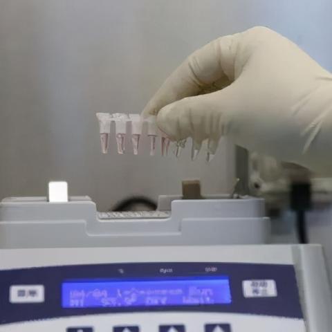 【处置天津防疫】长尾关键词有什么