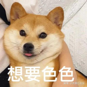 色色动态图李毅吧18期表情包