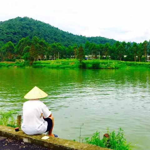 温州市有绿水还有青山的长尾关键词有什么